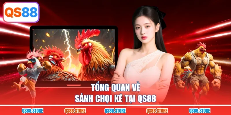 Tổng quan về sảnh chọi kê tại QS88 